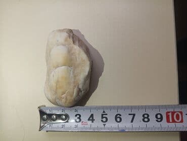 ucuz kafel: Təbii daş – ağ-krem rəng palitrası ilə real alıcı ilə razılaşmaq olar — 6