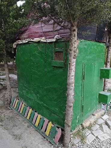 Quşxana - təcili satılır. Sumqayitdadir. istəyən olsa iç şəkillərini