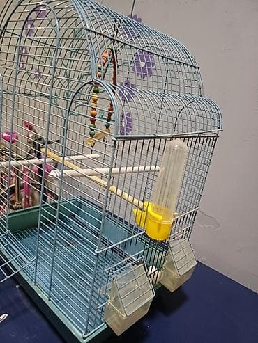 əbabil quşu: Quş qəfəsi – aksesuarlarla - Material: metal karkas, plastik altlıq - — 2