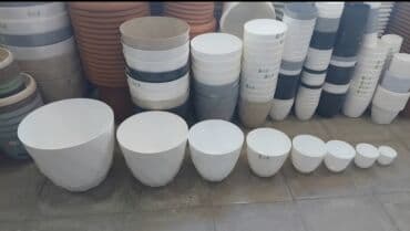 kaybolan yıllar 50: Dibcek Dibcek qabi yumru aq rengli gul.qabi yumru aq rengli dibcek — 4