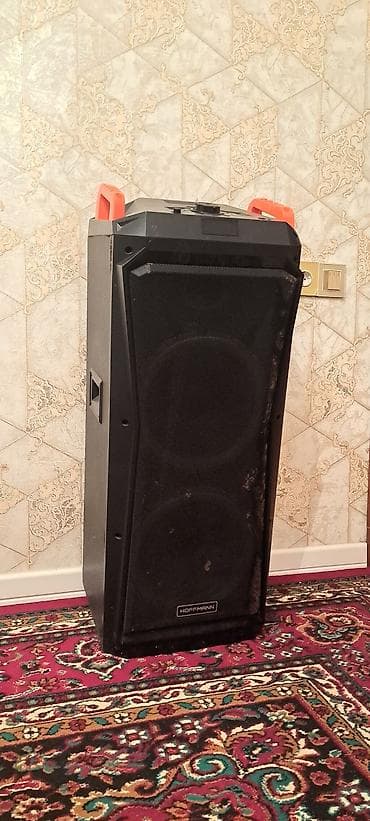 Динамики и колонки: Колонка, Тип - Портативная, цвет - Черный — 1