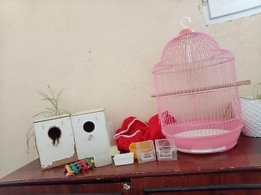 Oyuncaqlar: Quşlar üçün tam dəst aksessuarlar - Qızılı-çəhrayı rəngdə, asma — 2