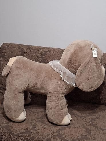 golden retviever: Oyuncaqlar — 1