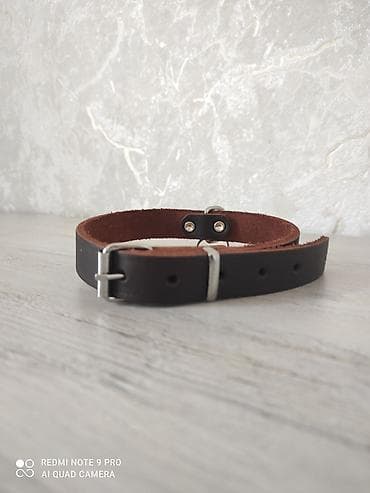 it üçün remen: Endirim edilir Məhsul: İt üçün dəridən yaxalıq. - Material: qalın — 4