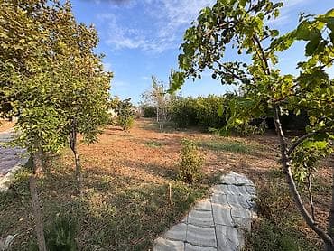 topaq: 4 sot, Mülkiyyətçi, Kupça (Çıxarış) — 10