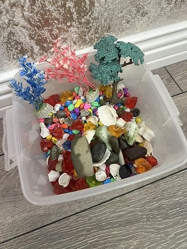 pisik bala: Dördbucaq akvarium, Boş, 6 l, Ünvandan götürmə — 9