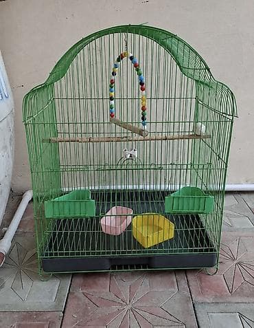 ❗️❗️❗️ Böyük ölçüdə korella qəfəsi yem,su qabı, pərdə