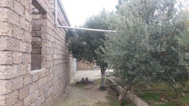 ev certiyojları: 3 otaqlı, 130 kv. m, Yeni təmirli — 24