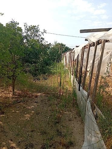zigda heyet evi: Dübəndi 5 otaqlı, 1200 kv. m — 9