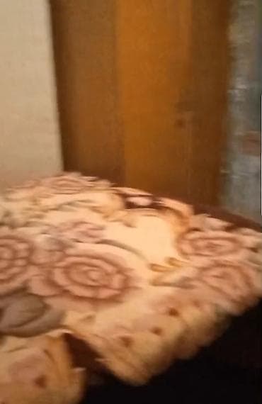 memar ecemide kiraye evler 2023: 90 mine Vasmoyda Nazlı Sarayın yaninda 2 otaqli mënzil — 3