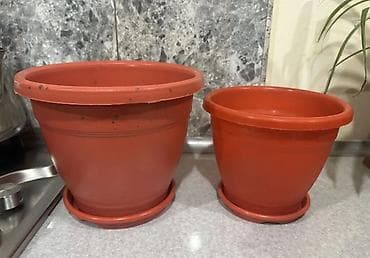 Plastik güldanlar (2 ədəd) - Material: yüngül və davamlı plastik -