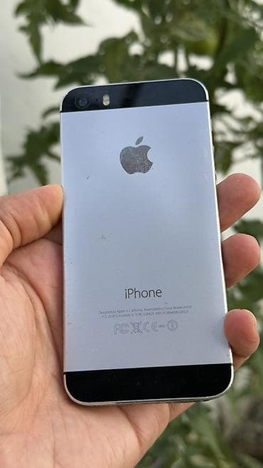 IPhone 5s, Gümüşü