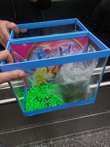 Uşaq temalı balıq akvariumu dəsti - Material: şüşə korpus, mavi