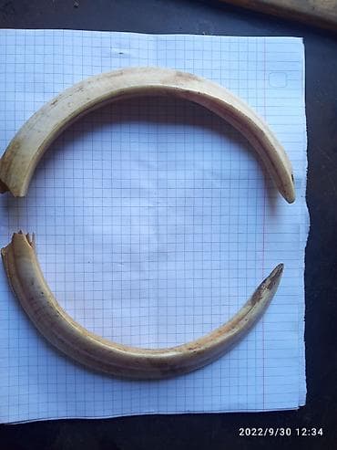 rent a car lenkeran: Suvenirlər — 1