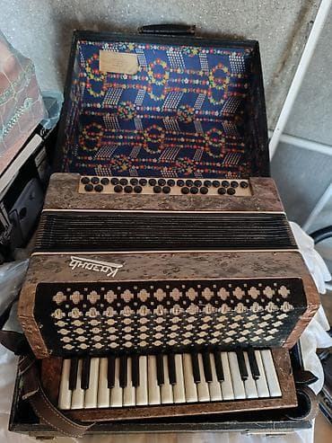 Akustik Akkordeon — 1
