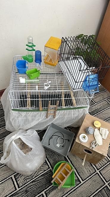 Geyimlər: Papuqay,tutuquşuQuş qəfəsi və aksesuarlar dəsti Tam quş baxımı üçün — 1