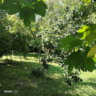 isiq direklerinin satisi: 25 соток, Собственник, Купчая — 2