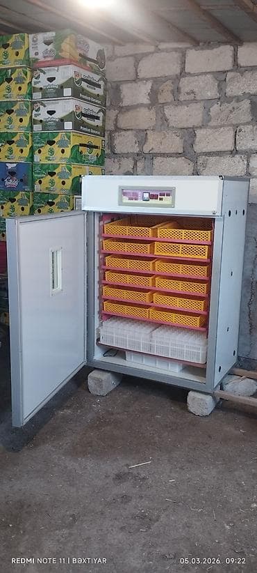 İnkubatorlar: 1100 yumurta, Çin, Tam avtomat — 2