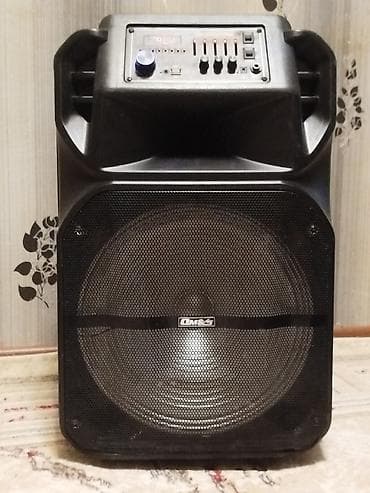 Daşınan səs gücləndirici (portable akustik sistem) – DM&S