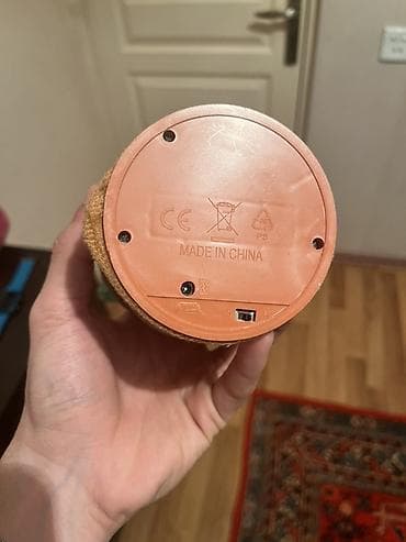 Зеркала: Rəqs edən və danışığı təkrarlayan interaktiv “kaktus” oyuncağı — 2