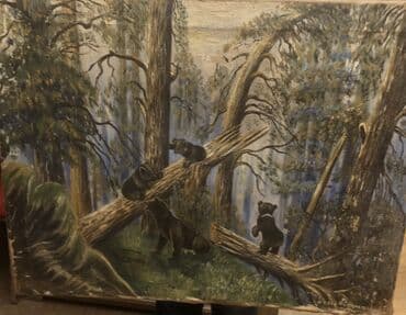 donuz yagi: Н.Соломенцев,1953 год — 1