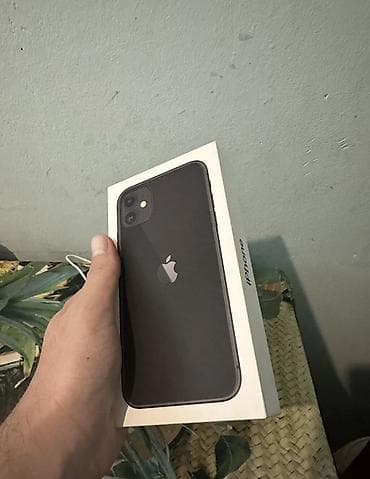 IPhone 11, Qara