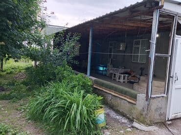 isti ağlay: Qoz chandler- 8 ha 7 illik, 4 ha 2 illik alma qızılehmed- 1 ha 4 — 10