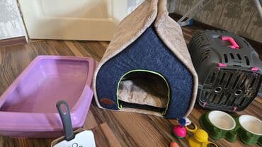 Tek yuva 100 alinib hamisi test 100 verilir Cox az isdifade olunub