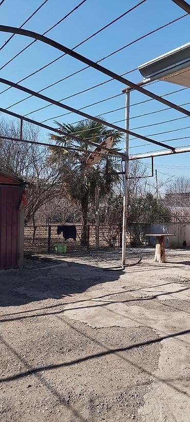 Santexnika: Həyət üçün metal treyler/üzüm çardağı karkası - Material: qalın — 1