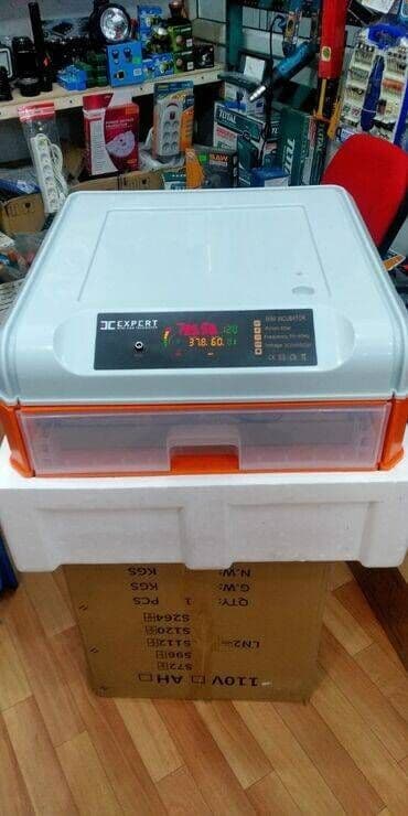 qirqovul satilir: Çin, Fabrik istehsalı, Tam avtomat, Bütün növ quşlaq üçün — 4