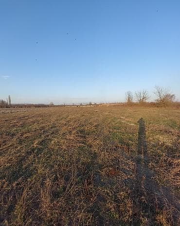 tap az quba: 1500 sot, Kənd təsərrüfatı, Mülkiyyətçi, Kupça (Çıxarış) — 2