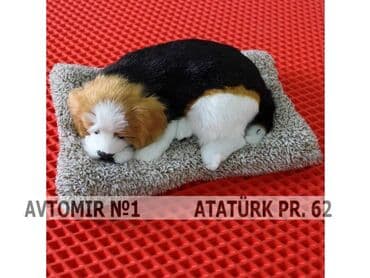 запчасти на ниссан примера р12: Dekorativ it n8 🚙🚒 ünvana və bölgələrə ödənişli çatdırılma 💳birkart və — 1