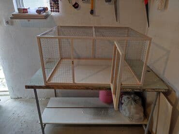 dovşa: Papuqay,dovşan,hamster,şinşila,bildirçin,cücə,xamyak,pişik,quş,tısbağa — 5