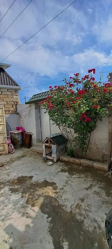 Дома: Satılır: həyət evi Qala qəsəbəsi, Xaşaxuna bağlarında, mərkəzi yoldan — 2