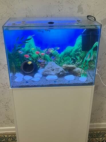 qus yuvasi duzeltmek: Akvarium-şkaf, Balıqlarla birlikdə, 90 l, Ödənişli çatdırılma — 3