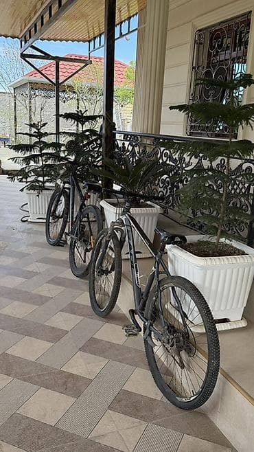 dağ velosipedləri 29: İki ədəd dağ velosipedi 300 azn deyirım real alıcıya endirim olacaq 1 — 2