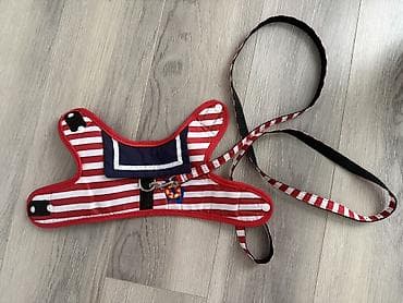 it üçün kemer: Dənizçi dizaynlı it üçün gövdə bağlamalı qoşqu və kəmər dəsti Razmer S — 7