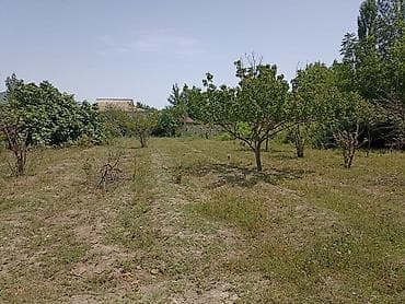 icareye meyve terevez dukani: 15 sot, Kənd təsərrüfatı — 5
