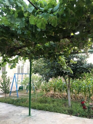 yeni evlər: 300 kv. m, 4 otaqlı, Kanalizasiya — 13