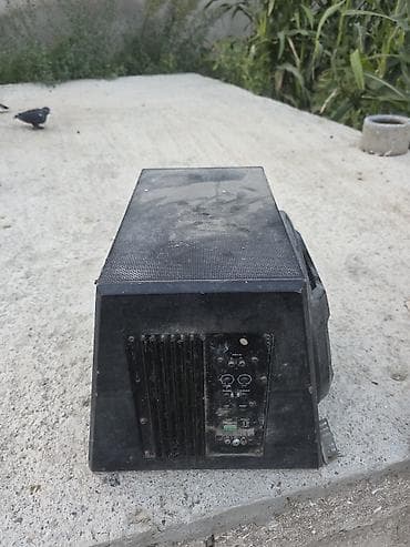 rx 6900 xt: Aktiv bas səsgücləndiricisi (subwoofer) - Korpus: taxta/kompozit, ön — 9