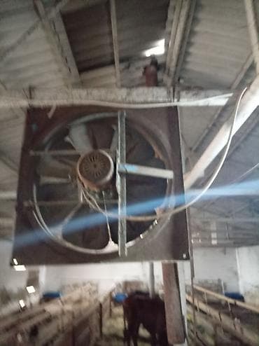 Sənaye tipli divar ventilyatorları (2 ədəd) Biri tez biri kohnr