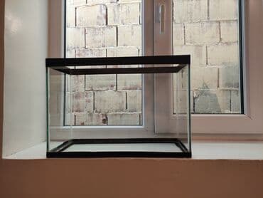 Akvariumlar: Dördbucaq akvarium, Boş, 10 l, Ünvandan götürmə — 1