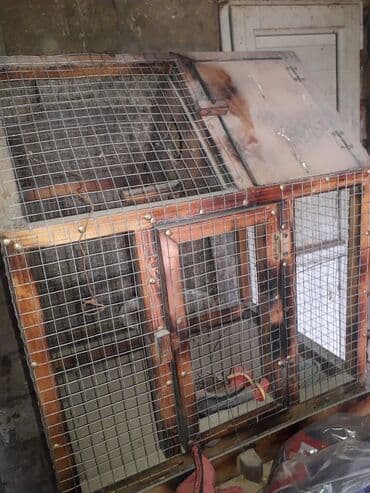 вольеры для маленьких собак: Taxda qefes iri ve yuvasi birgedi.Qusdari pay verilib qefrsler — 1