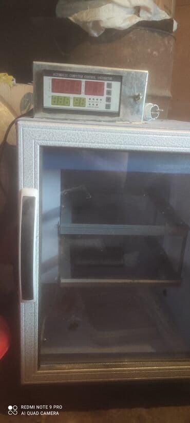 Avtomatik inkubator - Rəqəmsal idarəetmə bloku: “Automatic Computer