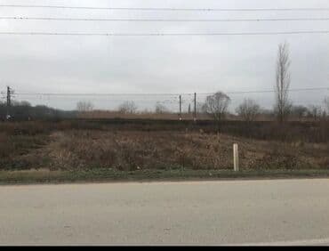 10 sot, Kənd təsərrüfatı, Maklerlər narahat etməsin, Kupça (Çıxarış)