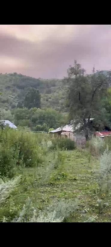 sahab mtk satilan evler: Kənd təsərrüfatı — 5