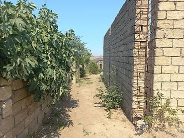 avto karavan: 10 sot, Tikinti, Mülkiyyətçi, Kupça (Çıxarış) — 4