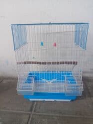 qus qefes: Papuqay qəfəsi az müddət istifadə olunub üstündə taxta yuvası da — 1