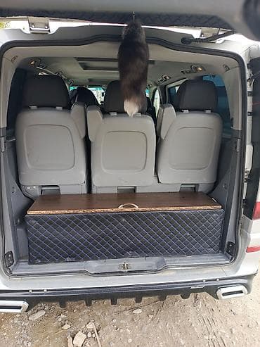 musiqili sükan: Mercedes-Benz Viano, gümüşü rəng, miniven. Mühərrik və yürüş: - Dizel — 9