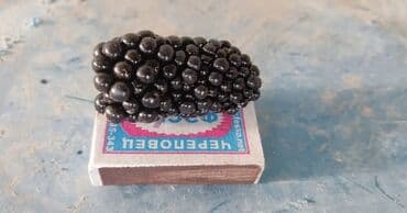 Ağaclar: Isdenilen sort var sadece zeng edin catiraq — 3